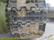 IMG-0309