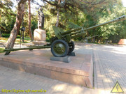 DSCN6782