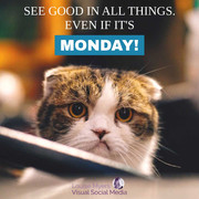 monday-grumpy-cat-quote