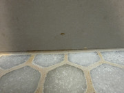IMG-4087