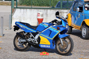 IMG-2936