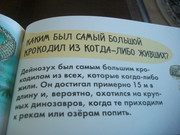 https://i.postimg.cc/TKJTNrN8/100-8572.jpg
