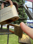 IMG-3755