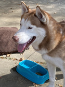 5FEE2C4C-85DE-4287-B2FC-80A44CE40955