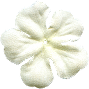 Winter-White-Elements-214