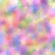 KBK-In-The-Spring-3