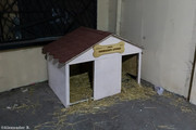 IMG-2376