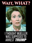 PelosiMuellerArrestWho (copy)