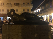 IMG-8537
