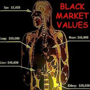 Organ black market values