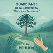 Pehuén