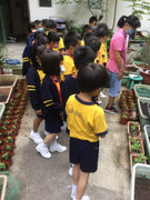 photo-littlefarmer2122-007