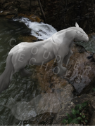 Untitled91_20250724211911