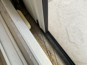IMG-1121