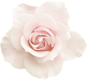 Winter-White-Elements-154
