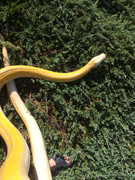 BD174E8C-30D8-4E10-A5A5-D433E0F486C0