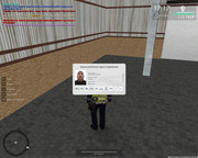 Скриншот 17-07-2025 192457