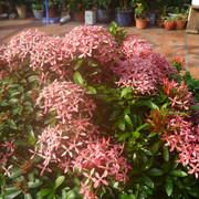 photo 13 2025 12 14 21 51 41