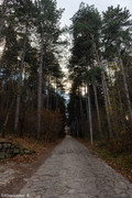 IMG-2349