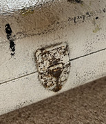 IMG-2226