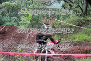 IMG-6624
