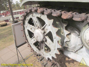 IMG-6371