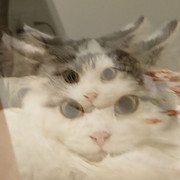 photo-2026-04-04-16-36-08