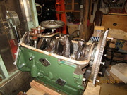 IMG-3296.jpg