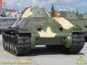 IMG-3498