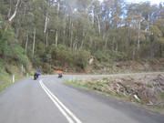 DSCN3451