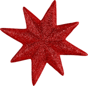 Christmasswishoffairydnstars2