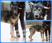 Be-Funky-collage-15.jpg&key=77b17eeb9388