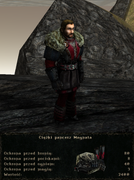 pancerze i ubrania (7)