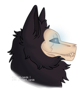 export202408261754124046