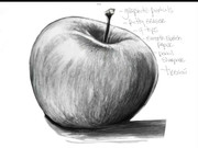 Shading
