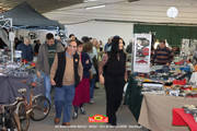 IMG-5058