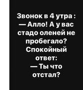 d0cd66a1caa0cf190923f8a998316d82.jpg