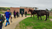 IMG-20251227-124034