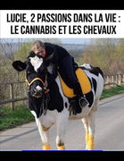 Sans-titre.png