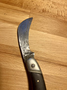 IMG_89F442D8-7C47-4BD7-8AAE-7B1CBC40B608