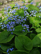 IMG-f0d6496f32fecd37aa29046da6e68b82-V