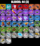 gliders-comp