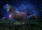 91254D05-3185-4F88-A311-B95D439EB571