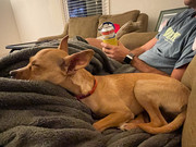 B7B43E76-9732-431A-B3BC-CDB233A19BF5