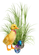 0-1c1b16-eb9c3e1e-orig