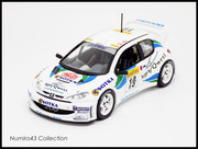 2001 09 Privados #19 Peugeot Gardmeister Monte Carlo