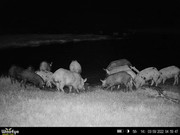 8ABC3503-8CA9-4E3B-A5B1-D682A1721958