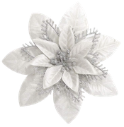 BC-Charlizes-Winter-100