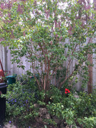 182E52F7-53CF-4F73-A56A-552EDBA8E61E