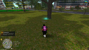 IMG-7096